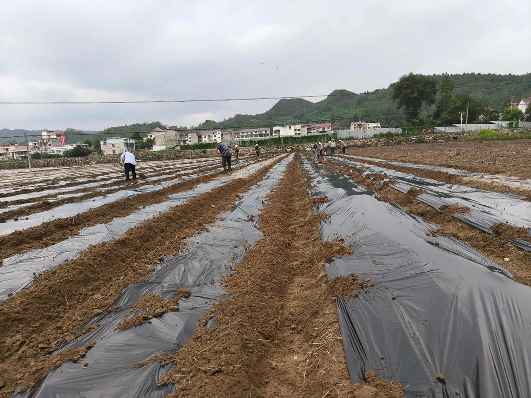 农村小伙回乡开公司，从种地到当老板，农民